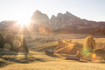 Autumn in Siusi Alp, Seiser Alm, South Tyrol, northern Italy