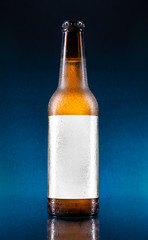 bottle of beer with blank label