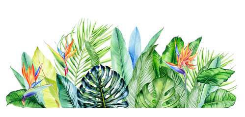 Watercolor arrangement with tropical plants, leaves and strelitzia flowers.  Greenery frames for tropical summer wedding. Great for cards, wedding invites, hawaii birthday and beach party