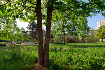 Cormailles park in Ivry-sur-Seine city near Paris 