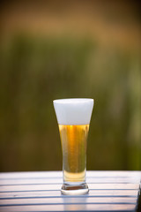 麦畑と生ビール