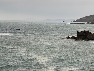 新潟笠島の海