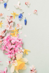 beautiful spring flowers on paper background