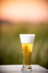 麦畑と生ビール