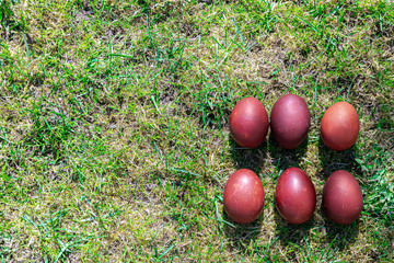 Easter eggs on the green grass. Colored eggs on a beautiful background, there is a place for text. Concept: Happy Easter