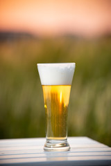 麦畑と生ビール