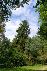 hiking path iin the Chevreuse valley regional nature park