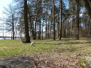 KODAK Digital Still Camera © Dawid