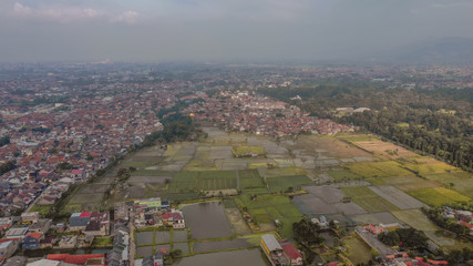 Paddy field in the beautiful morning