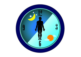 The circadian rhythms are controlled by circadian clocks or biological clock these clocks tell our brain when to sleep, tell our gut when to digest and control our activity in several day.