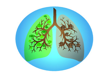 Deforestation effect. green lung with abnormal lung vector
