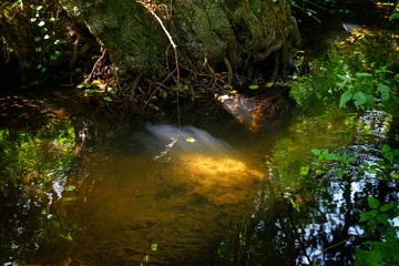 Ru des Vaux  river in the  Chevreuse valley regional nature park