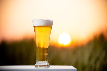 麦畑と生ビール