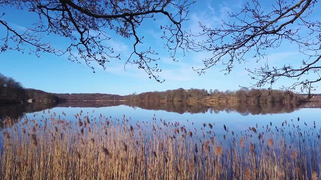 Slow aerial drone shot, flying between two tree trunks towards a distant shore. Sky, trees, reeds and a distant shore are reflected in the surface of a still lake at N&auml;&auml;s Fabriker, Tollered, Sweden.