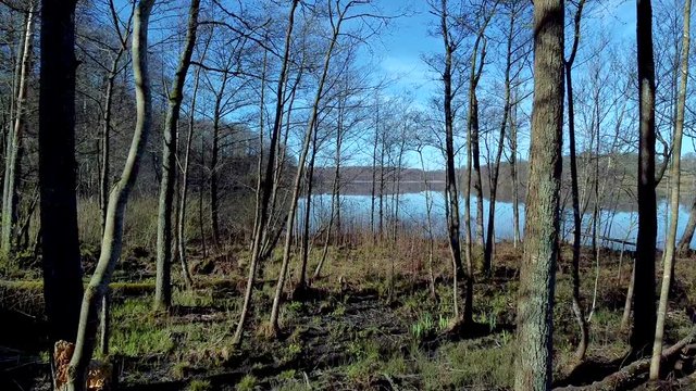 Slow aerial drone shot, flying close between trees, over a mossy and marshy surface. A distant shore are reflected in the surface of a still lake at N&auml;&auml;s Fabriker, Tollered, Sweden.