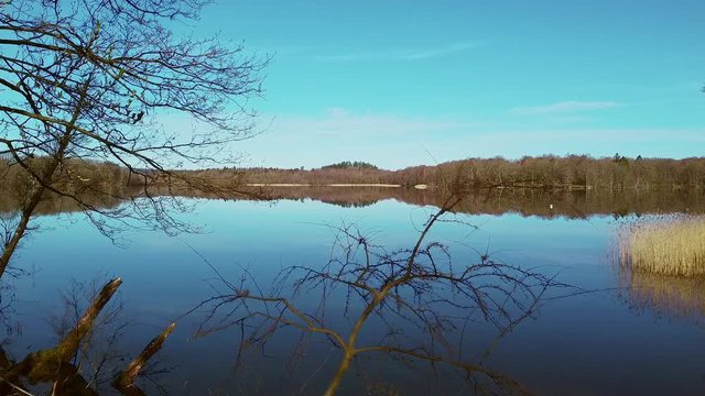 Slow aerial drone shot, flying by trees on the left shoreside, passing close to tree branches. A distant shore are reflected in the surface of a still lake at N&auml;&auml;s Fabriker, Tollered, Sweden.