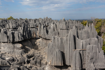 Stone forest panorama sharp limestone rocks of tsingy de bemaraha nature reserve