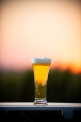 麦畑と生ビール