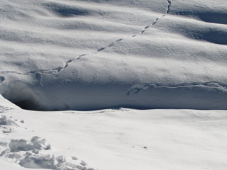 Alto Adice piste