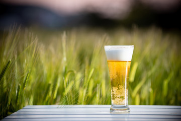 麦畑と生ビール
