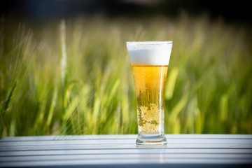 麦畑と生ビール