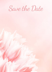 Fototapeta na wymiar Wedding invitation card, save the date, RSVP, pink tulips, standart size A6. Greeting or invite card, elegant clear design template, light blur background.