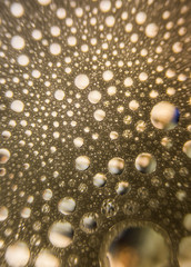 Gold water drops on bubble background