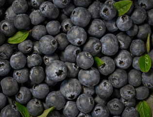Fresh blueberries background with copy space for your text.  Vegan and vegetarian concept. Macro texture of blueberry berries. Summer healthy food.