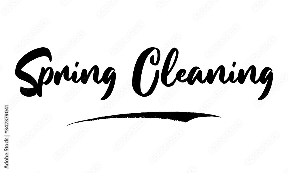 Aufkleber spring cleaning phrase saying quote text or lettering. vector script and cursive handwritten typogra