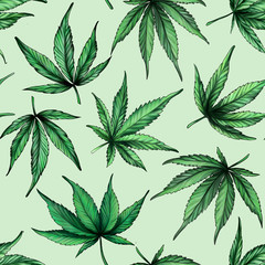 Seamless cannabis pattern on a green background. Green hemp leaves.. Cannabis leaves pattern seamless on green background