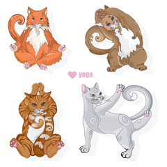 Various cat of different colors doing yoga poses. Vectors
