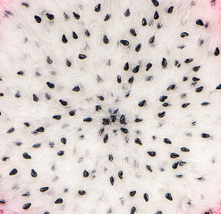 Dragon fruit an isolated on background