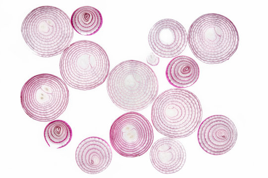 Sliced purple onion on translucent white background. Minimalist composition. 