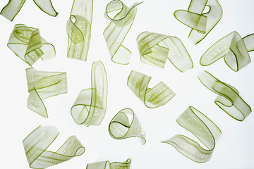 Horizontally sliced cucumbers. Random composition with transparent slices and white background.