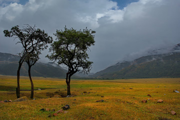 Kyrgyzstan. Grigorievskoe gorge on the Northern shore of lake Issyk-Kul.
