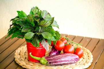 Raw vegetables close up. Vegetables on table against background of white wall. view of fresh tomatoes, basil, eggplant, red pepper and corn. Healthy eating concept. Selective focus image.