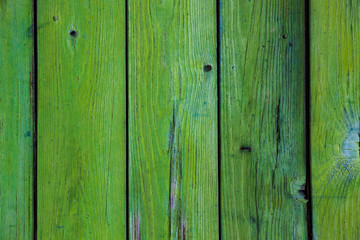 Beautiful green wooden background with space for text.