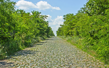 Picturesque and empty old road.