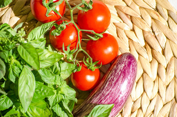 Raw vegetables close up. Vegetables on table against background of white wall. view of fresh tomatoes, basil, eggplant, red pepper. Healthy eating concept. Selective focus image.