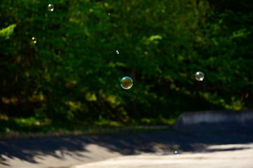 water drops on the green grass