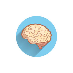 brain colorful flat icon with shadow. medical icon