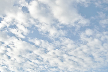 Cielo azul pastel con textura de nubes blancas