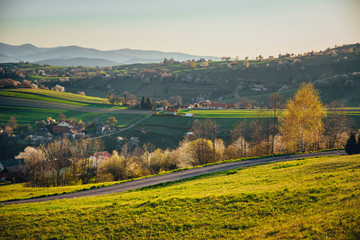 Spring in Slovakia. Meadows and fields landscape near Hrinova. Spring colored cherry trees at sunset