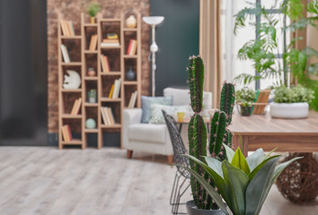 Modern brown and black wall concept, wallpaper, wooden bookcase and table style, grey armchair green vase of plant.