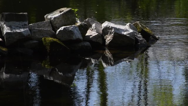Spring Impressions from Western Ditch in Citadel Park in Berlin Spandau of April 22, 2020, Germany