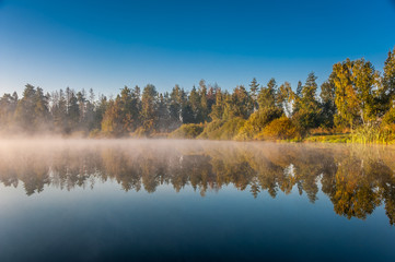 Foggy lake scape and vibrant spring colors in trees at dawn. Concepts: tranquility, nature, background, morning