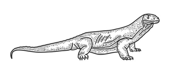 Fototapeta premium Monitor lizard Varanus sketch engraving vector illustration. T-shirt apparel print design. Scratch board imitation. Black and white hand drawn image.