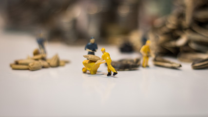 Miniature people : Workers work on the sunflower seed production process. (Sunflower seed business concept)