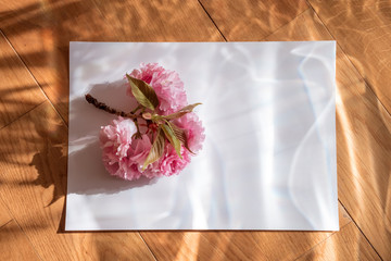 On a wooden surface lies a piece of paper on sakura flowers. Photo in pink dreamy colors. The composition is illuminated with colored light. Interference