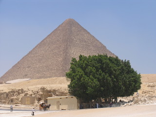 Egypt. The pyramid complex of Giza